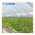 Commercial Plastic Film Tunnel Greenhouse for strawberry